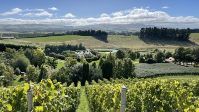From Mogilovo to New Zealand