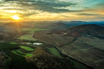 Vineyards