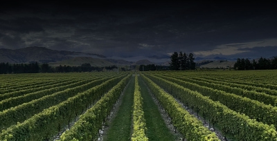 Marlborough, New Zealand