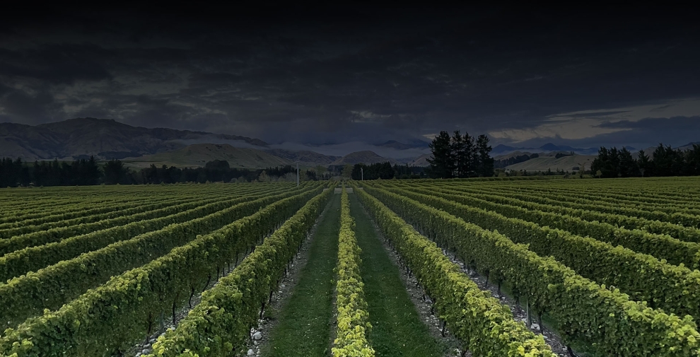 Marlborough, New Zealand