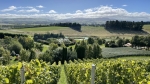 From Mogilovo to New Zealand